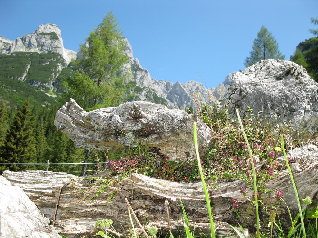 Hausmenneweger Annaberg im Lammertal Quarto foto