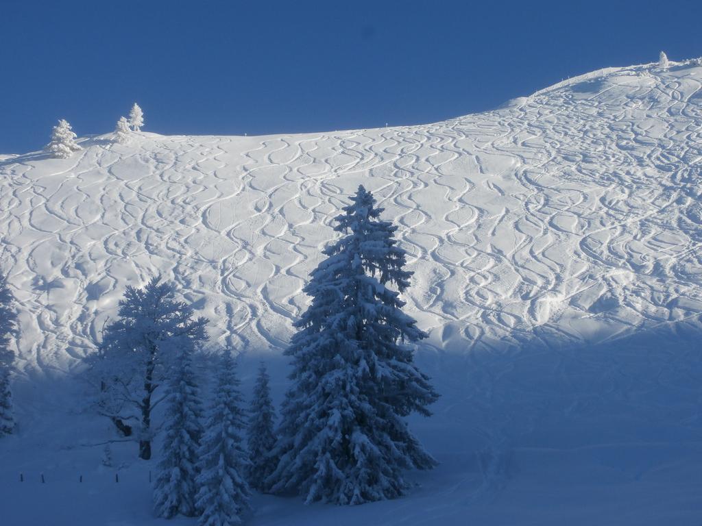 Hausmenneweger Annaberg im Lammertal Exterior foto